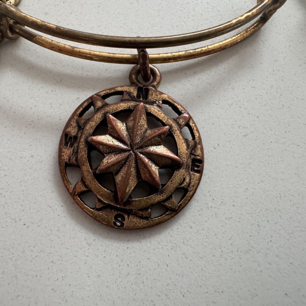 Alex & Ani Gold Charm Bangle Set - Picture 3 of 4